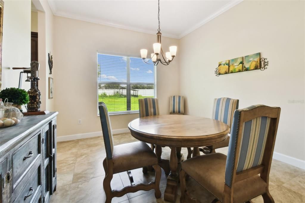 Chandelier, Dining room, Interior