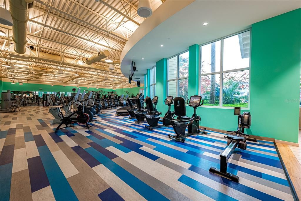 Fitness Equipment, Gym, Interior, Recessed Lighting