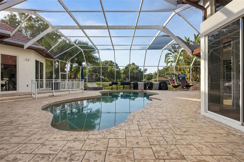 Glass Ceilings, Interior, Pool, Sun Room