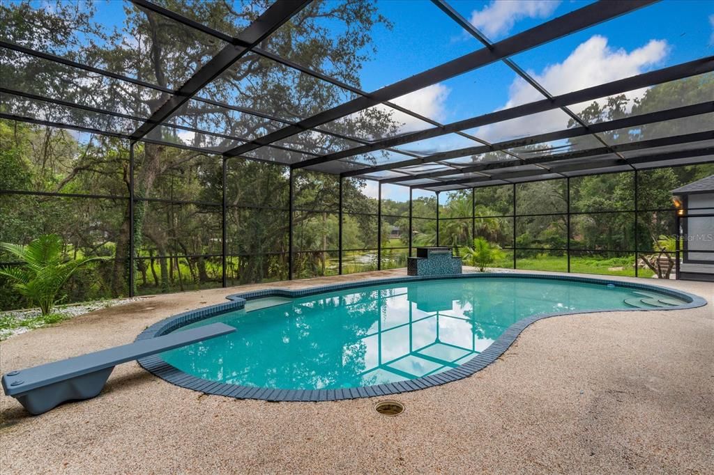 Glass Ceilings, Interior, Pool, Sun Room