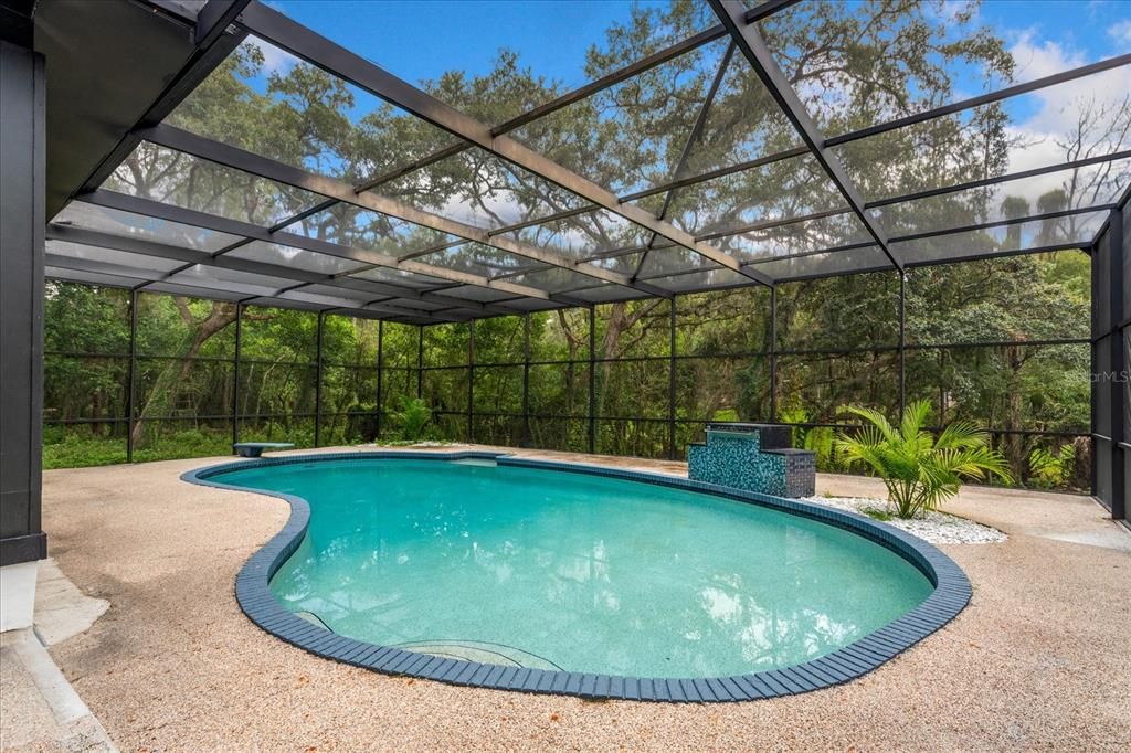 Glass Ceilings, Interior, Pool, Sun Room