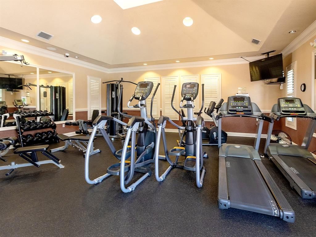 Fitness Equipment, Gym, Interior, Recessed Lighting