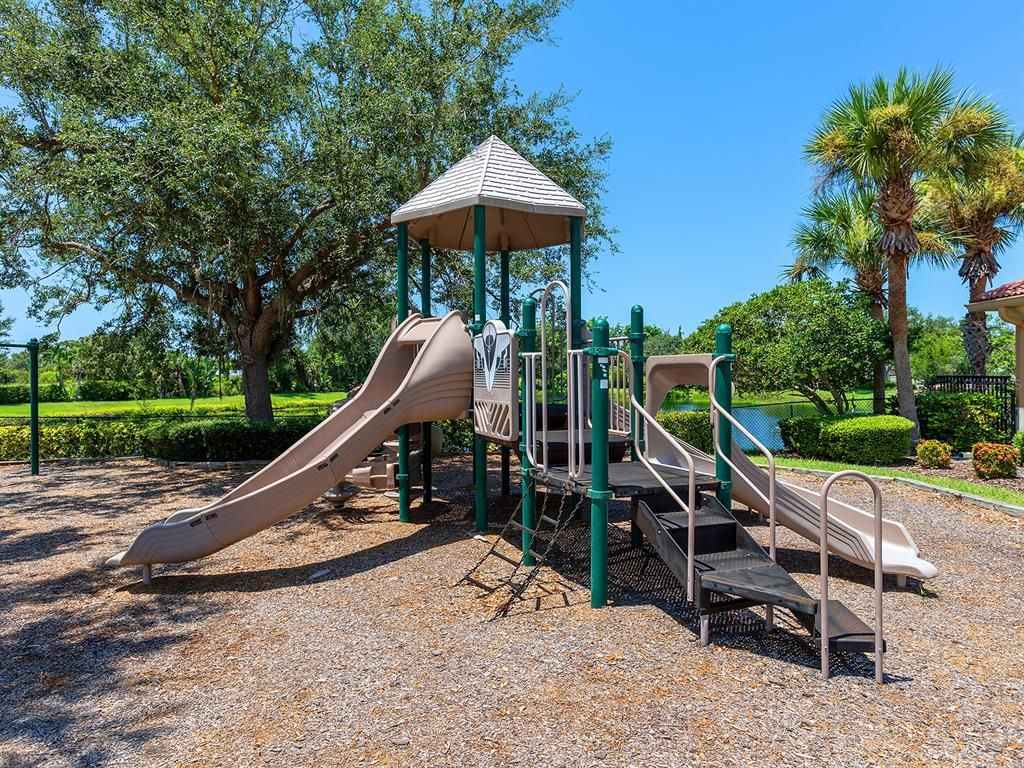 Backyard, Exterior, Playground