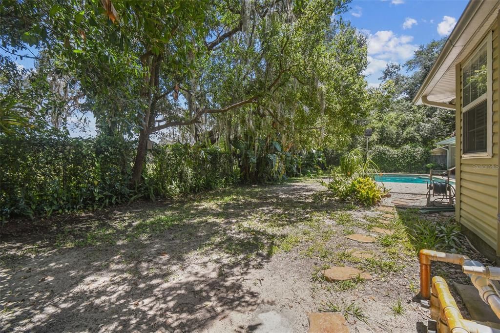 Backyard, Exterior, Pool