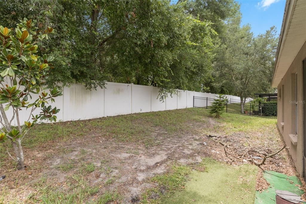 Backyard, Exterior