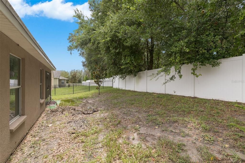 Backyard, Exterior