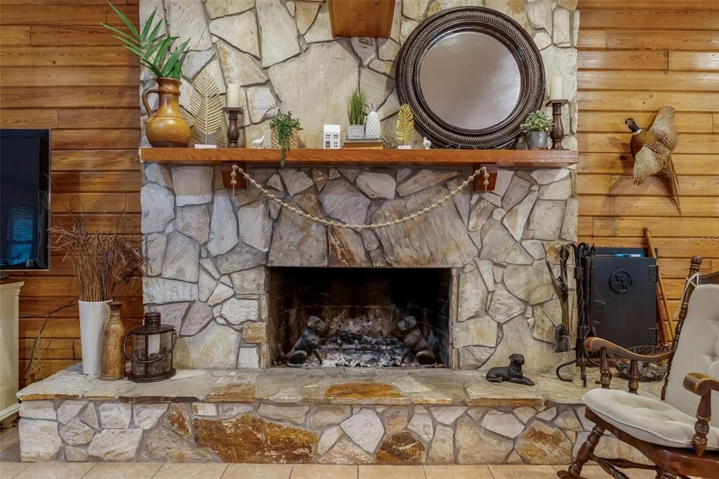 Fireplace, Interior, Wooden Walls