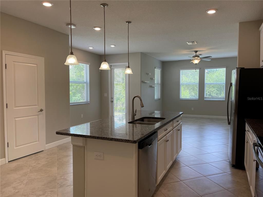 Interior, Kitchen, Pendant Lights, Recessed Lighting