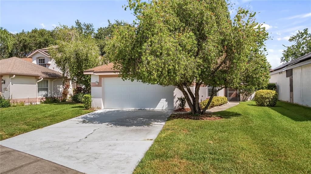 Backyard, Detached Garage, Exterior