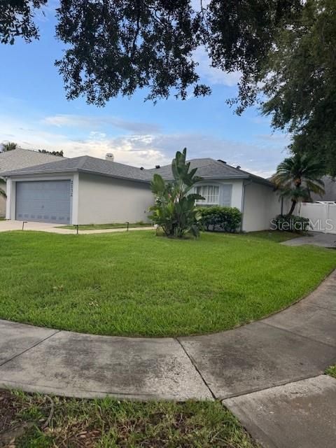 Backyard, Detached Garage, Exterior
