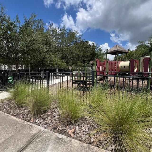 Backyard, Exterior, Playground