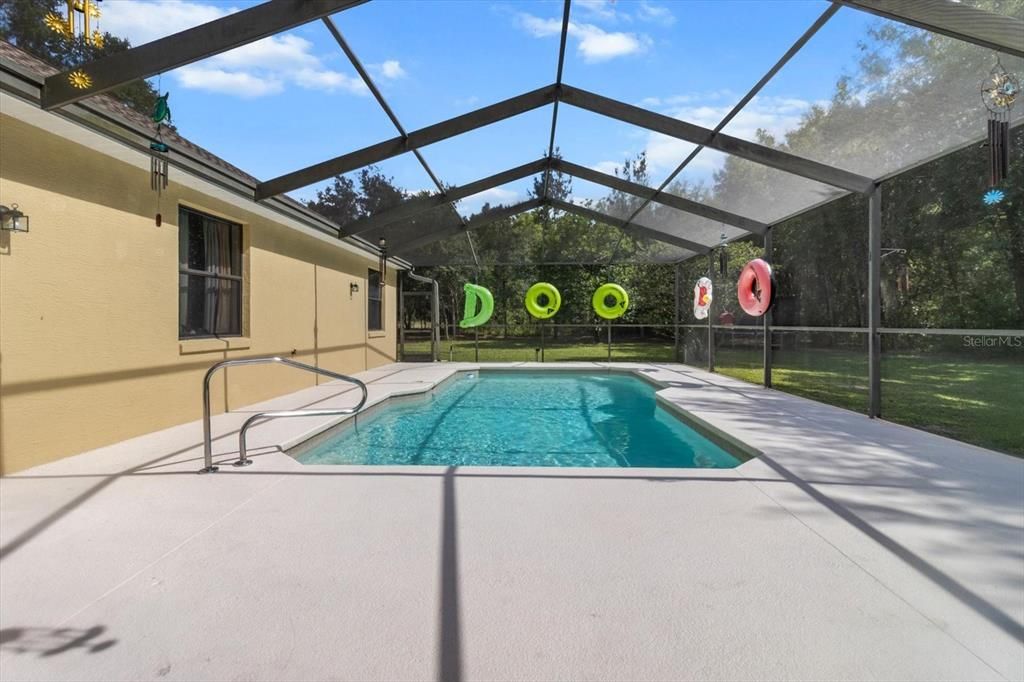 Glass Ceilings, Interior, Pool, Sun Room