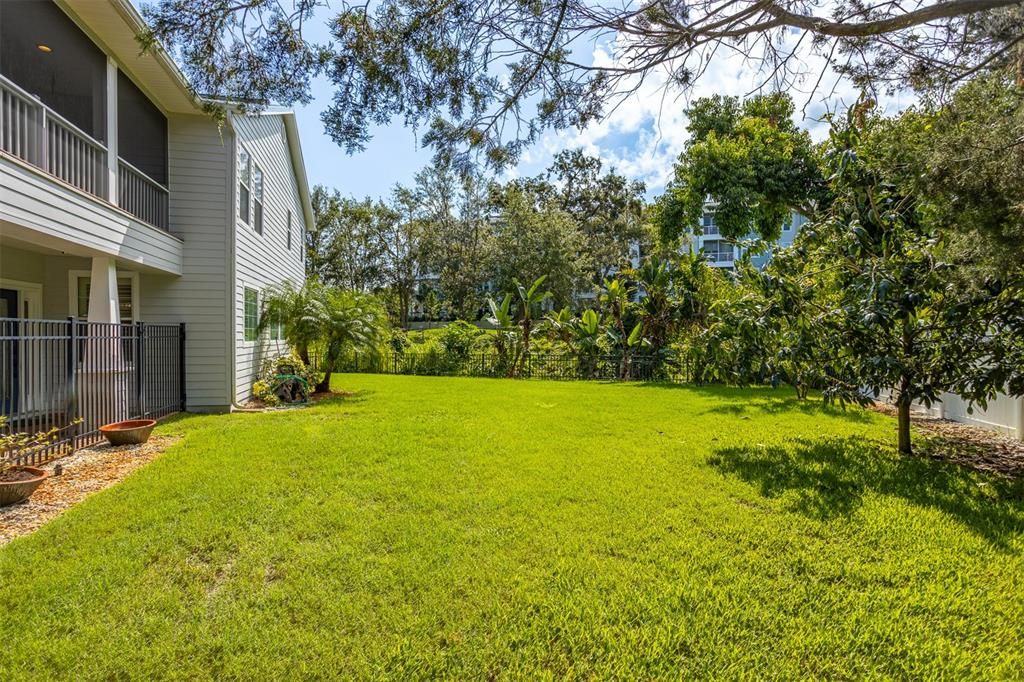 Backyard, Exterior