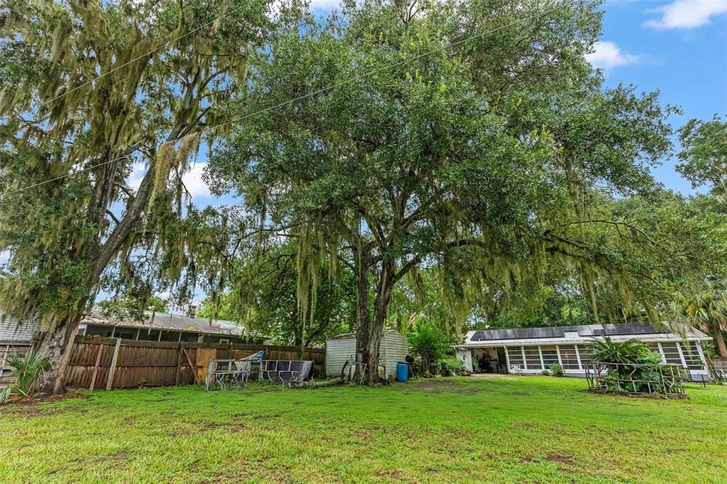 Backyard, Exterior