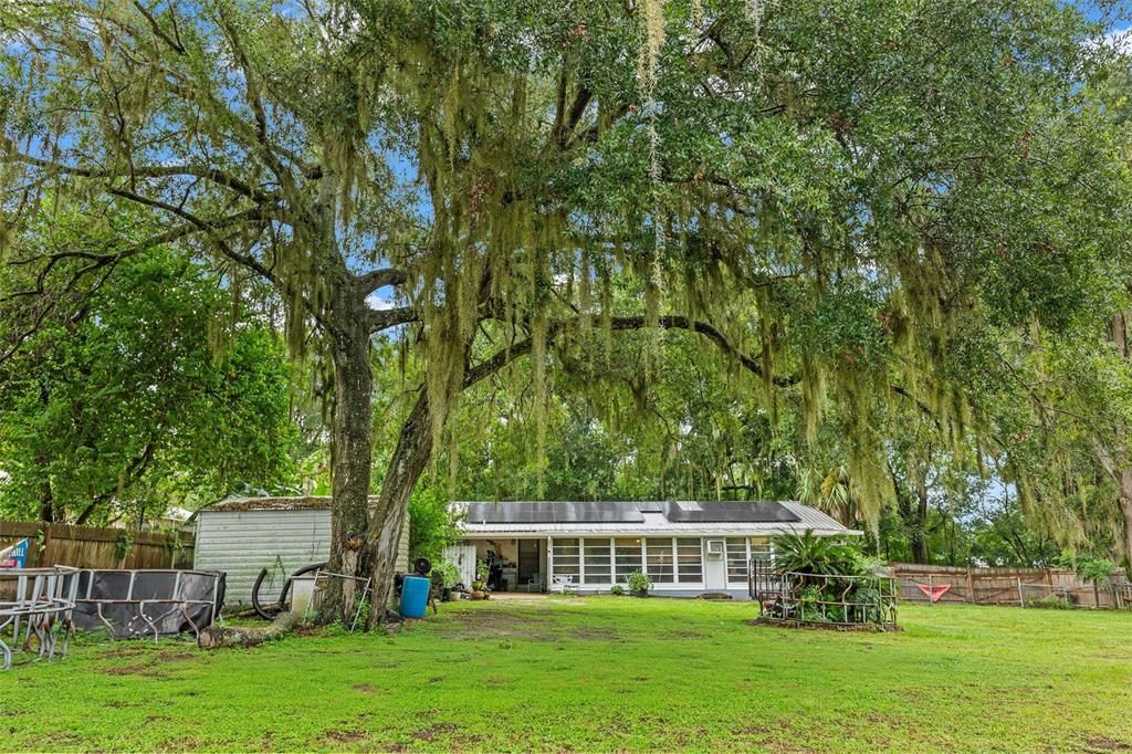 Backyard, Exterior