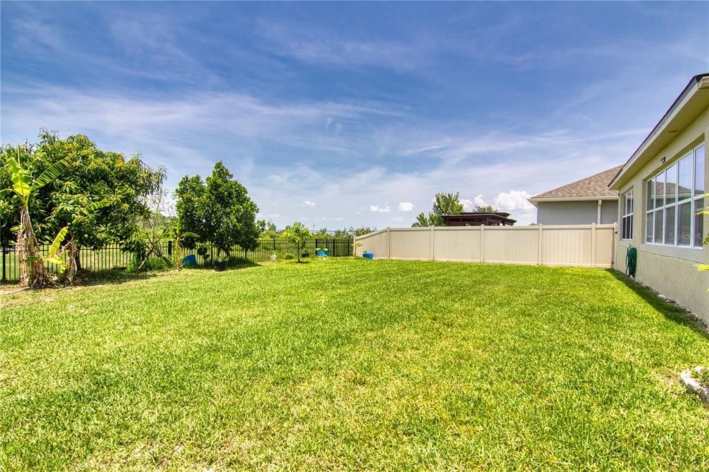 Backyard, Exterior