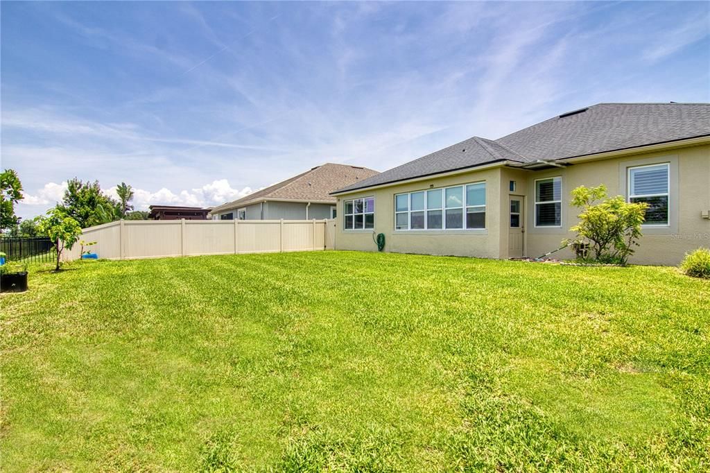 Backyard, Exterior