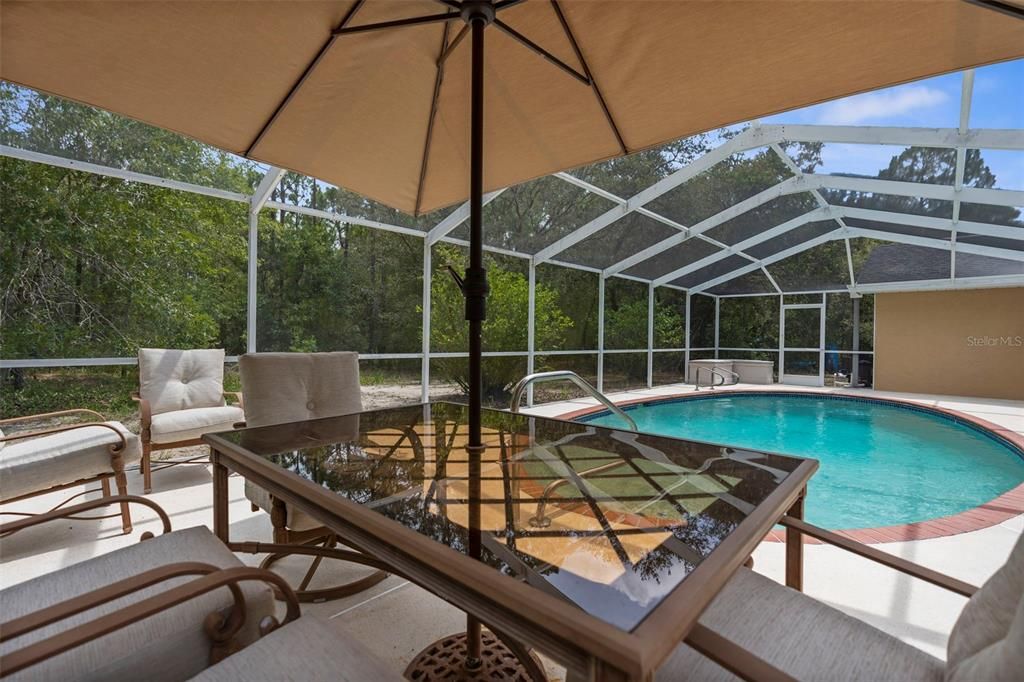 Glass Ceilings, Interior, Pool, Sun Room