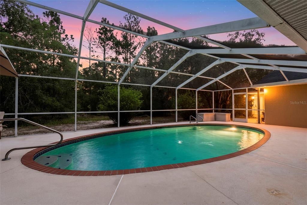 Glass Ceilings, Interior, Pool, Sun Room