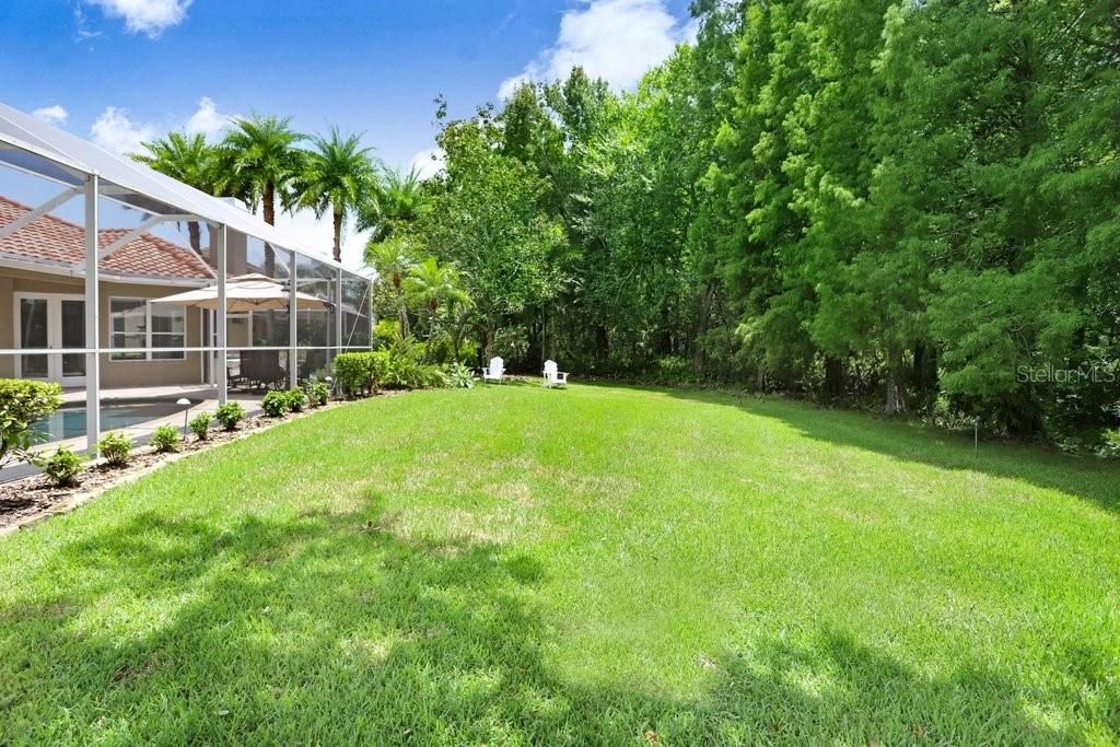 Backyard, Exterior