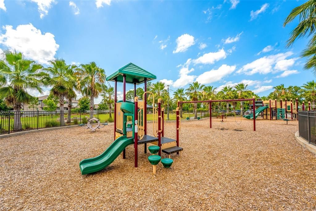 Backyard, Exterior, Playground