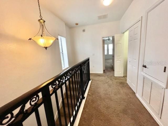 Interior, Pendant Lights