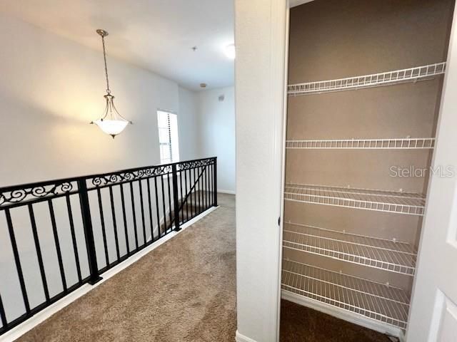 Interior, Pendant Lights