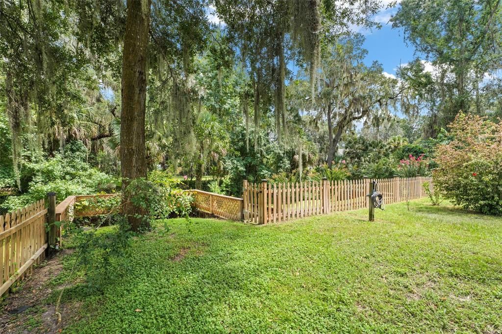 Backyard, Exterior