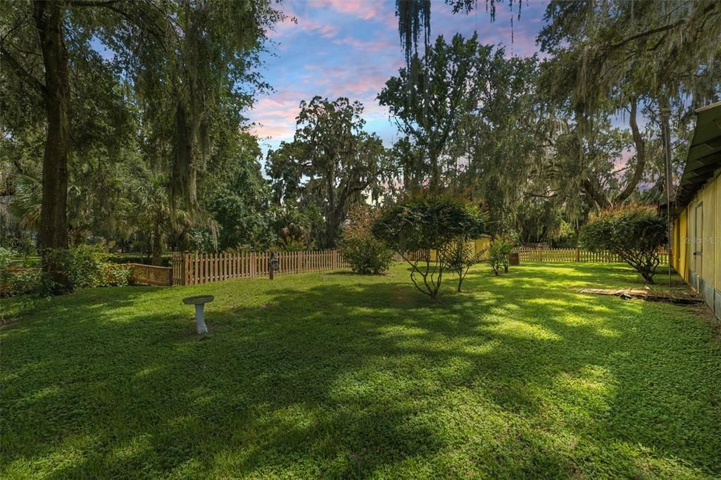 Backyard, Exterior