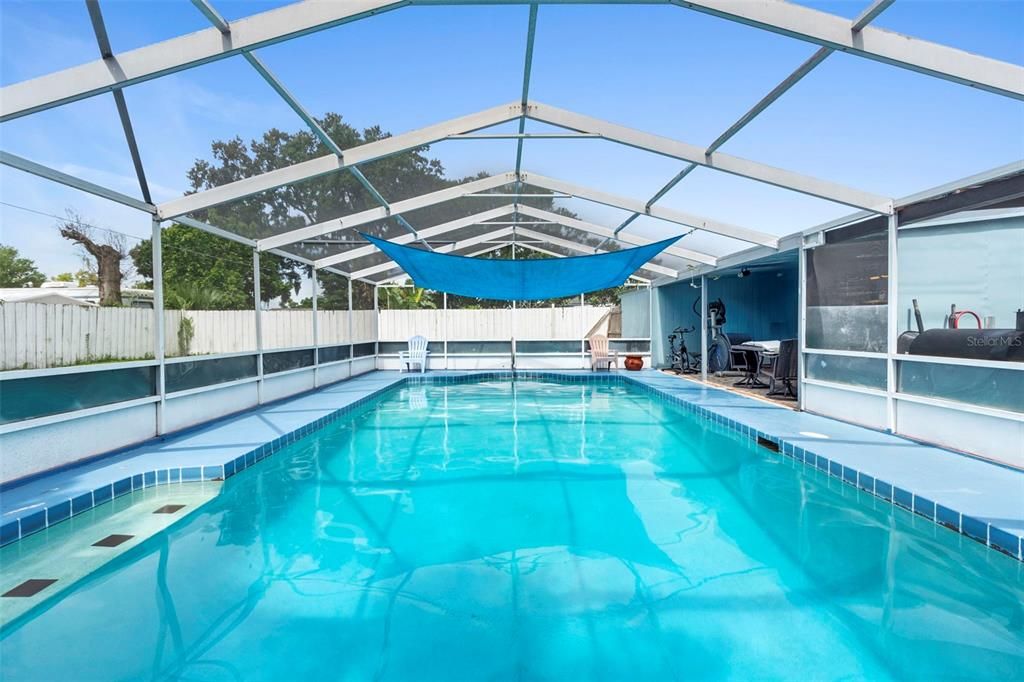 Glass Ceilings, Interior, Pool, Sun Room