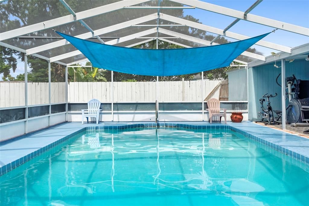 Glass Ceilings, Interior, Pool, Sun Room