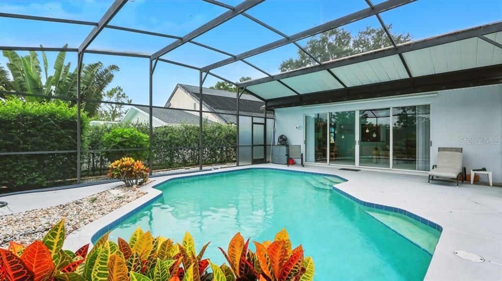 Glass Ceilings, Interior, Pool, Sun Room