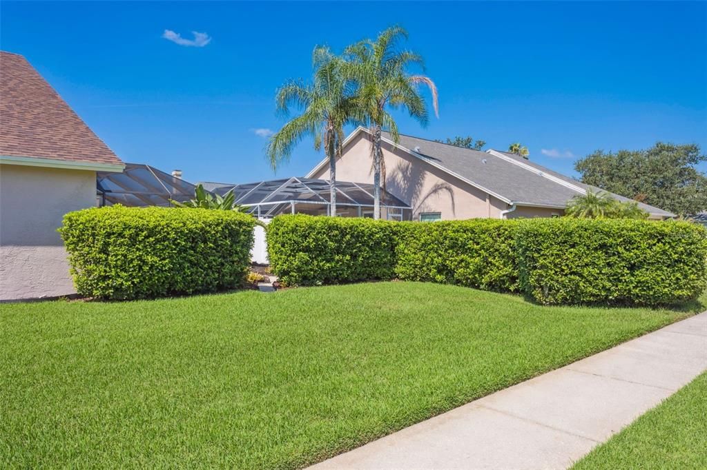 Backyard, Exterior