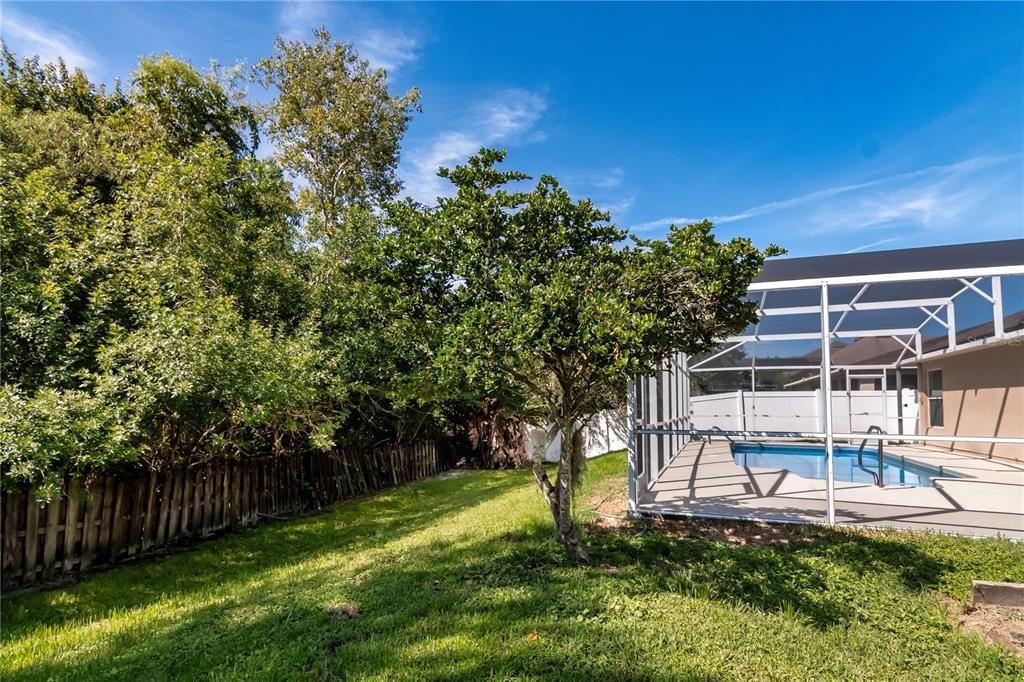 Backyard, Exterior, Pool