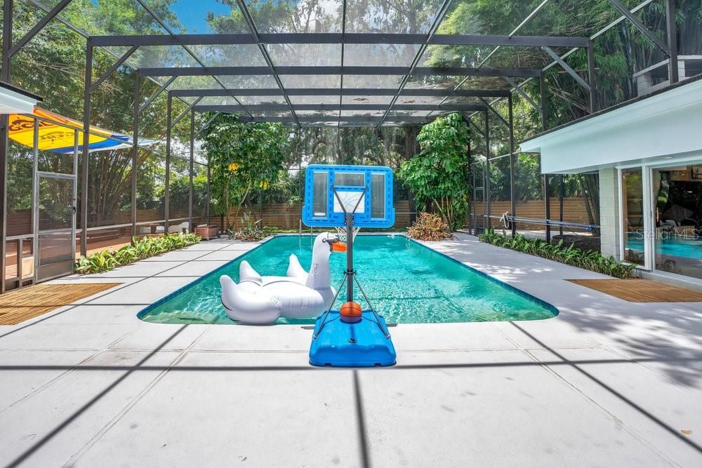 Glass Ceilings, Interior, Pool, Sun Room