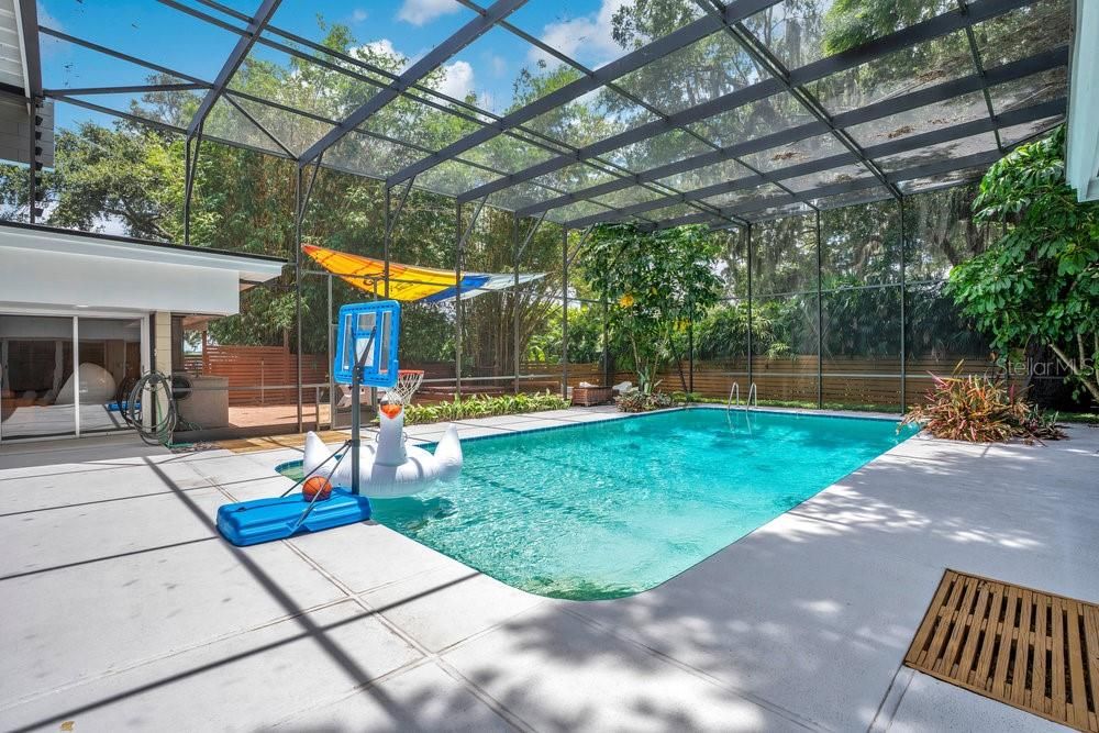 Glass Ceilings, Interior, Pool, Sun Room