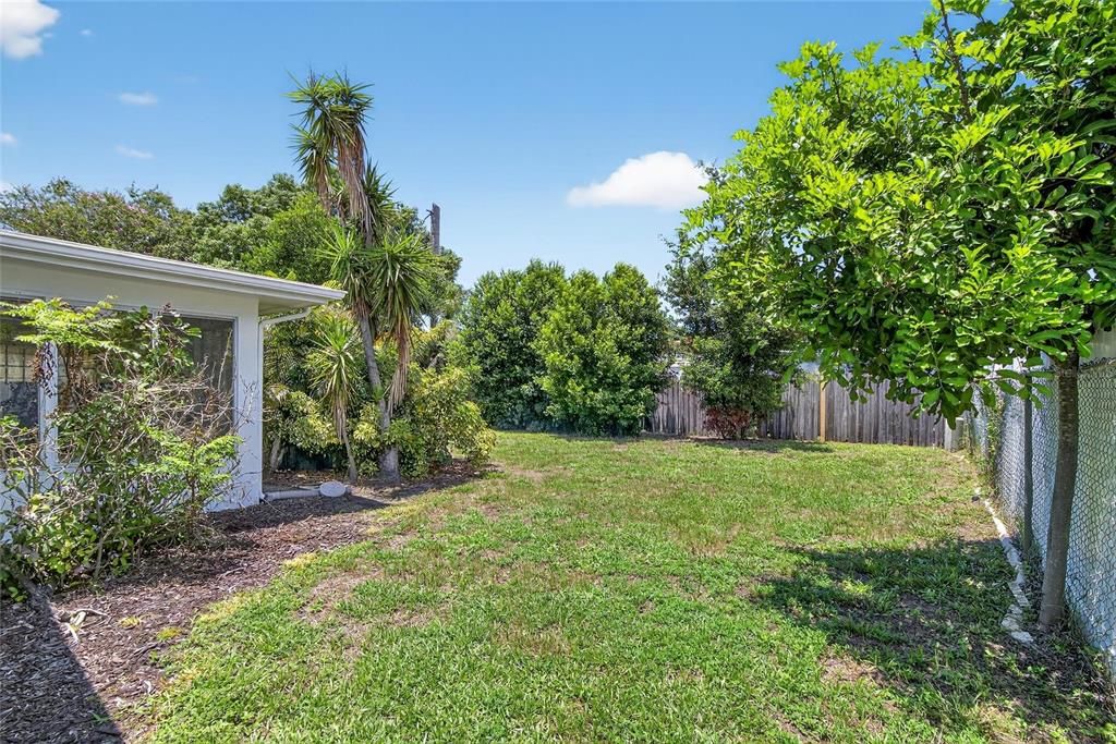 Backyard, Exterior