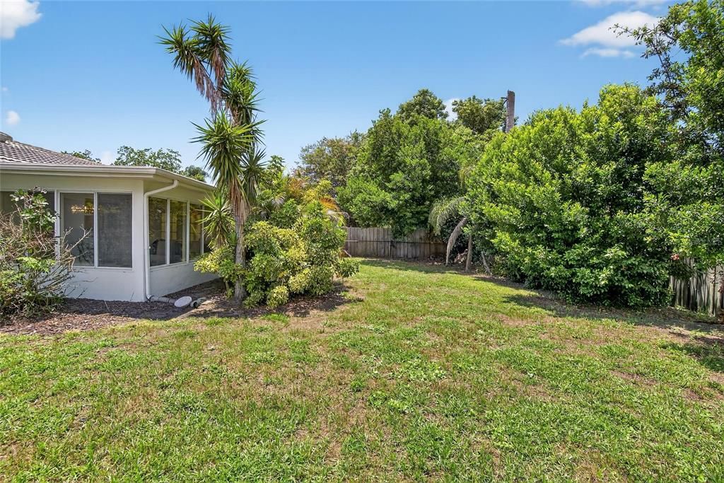 Backyard, Exterior