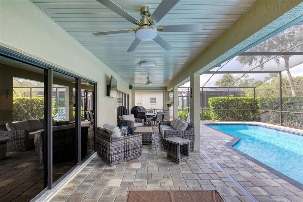 Glass Ceilings, Interior, Pool, Sun Room