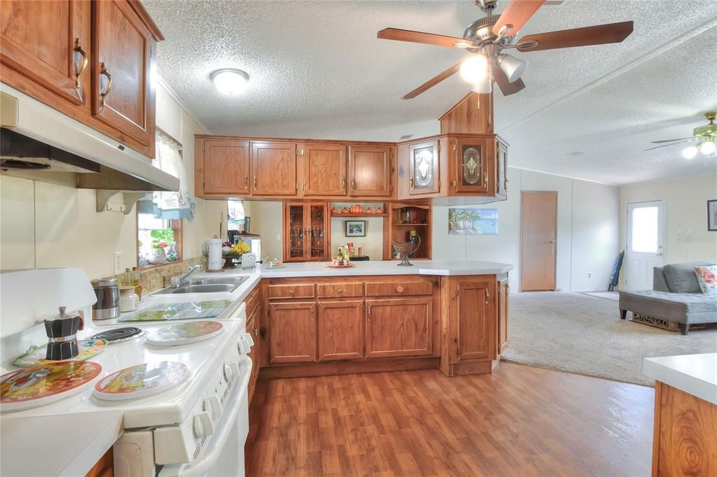 Interior, Kitchen, Wood Texture Flooring