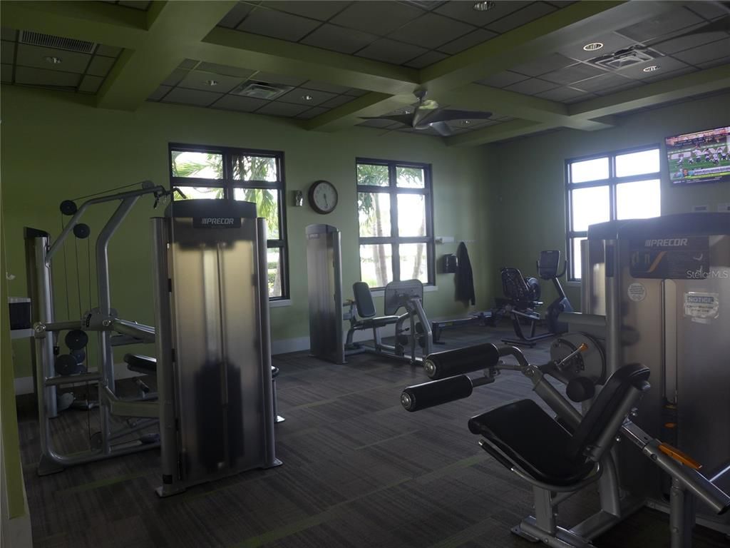 Fitness Equipment, Gym, Interior, Recessed Lighting, Wood Texture Flooring