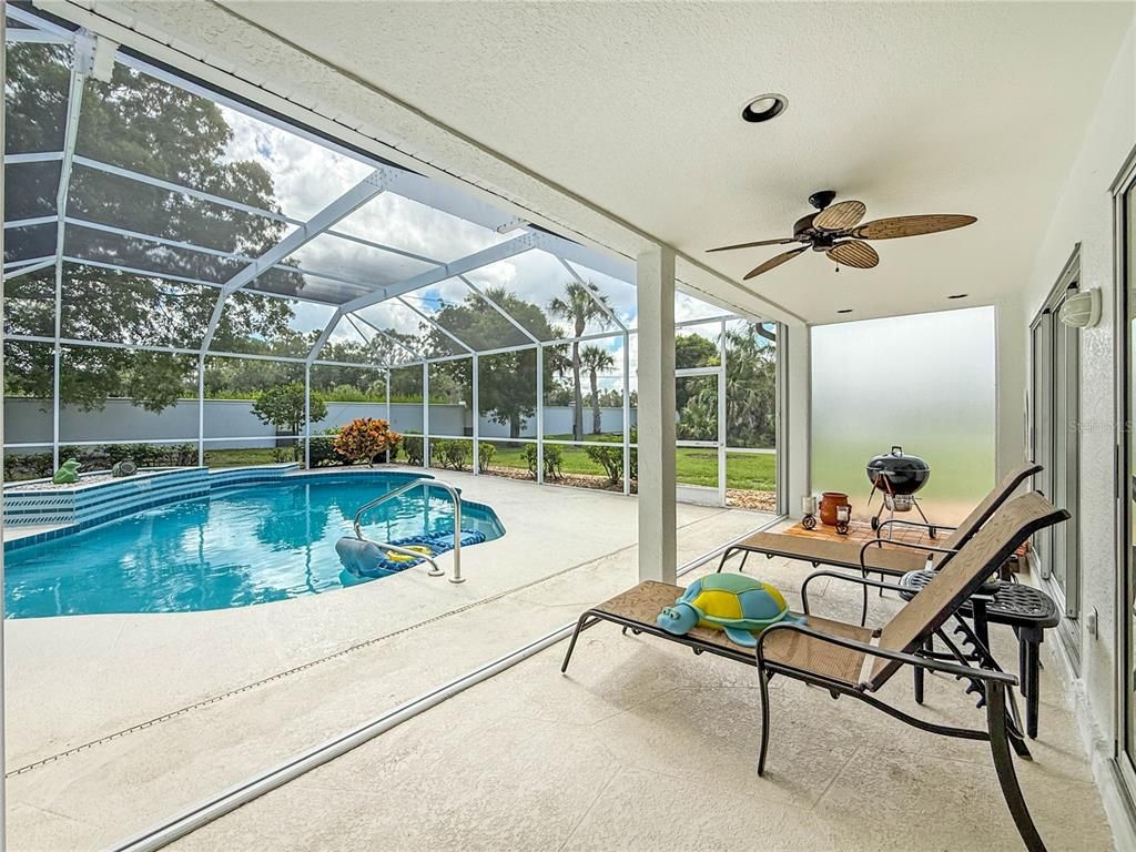 Glass Ceilings, Interior, Pool, Recessed Lighting, Sun Room
