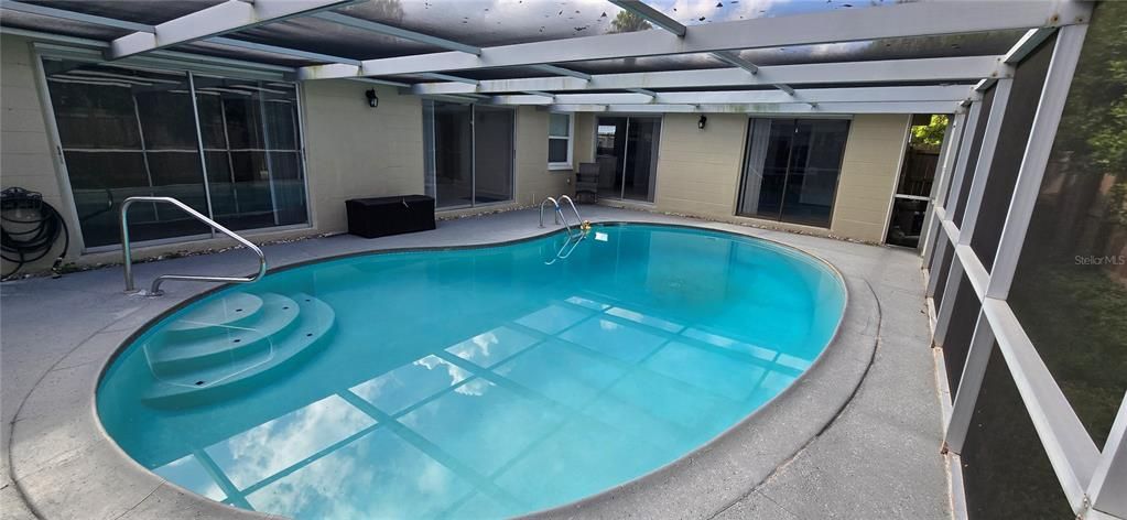 Glass Ceilings, Interior, Pool, Sun Room