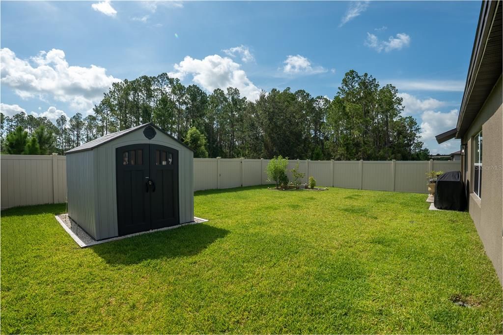 Backyard, Exterior