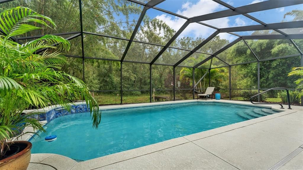 Glass Ceilings, Interior, Pool, Sun Room