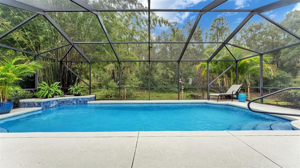 Glass Ceilings, Interior, Pool, Sun Room