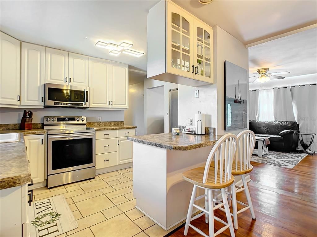 Interior, Kitchen, Stainless Steel Appliances, Wood Texture Flooring