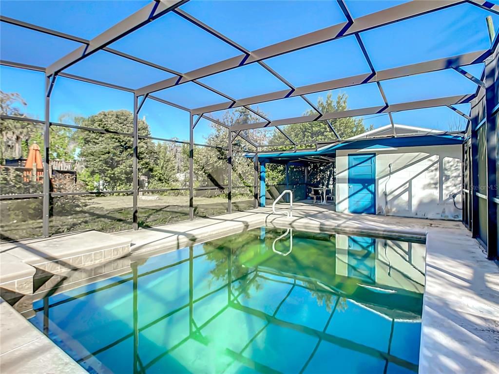 Glass Ceilings, Interior, Pool, Sun Room
