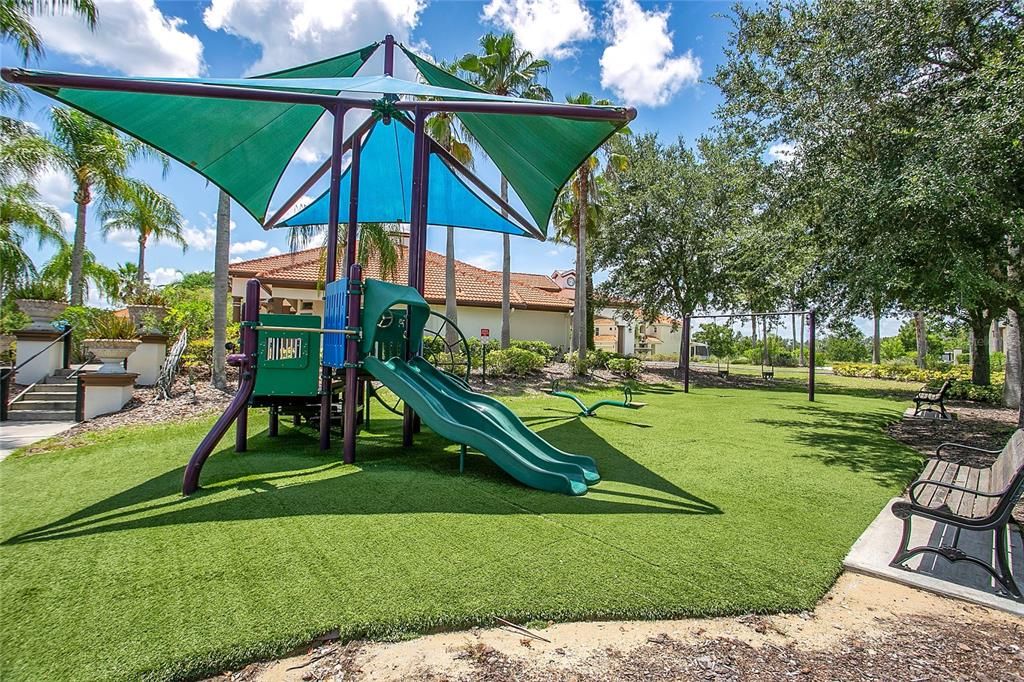 Backyard, Exterior, Playground