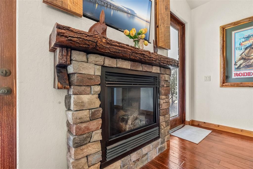 Fireplace, Interior, Wood Texture Flooring